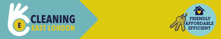 Cleaning East London Header Banner